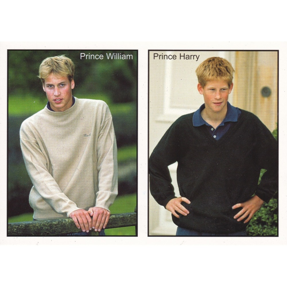 Prince William Prince Harry Postcard Royalty Celebrity British Unposted London